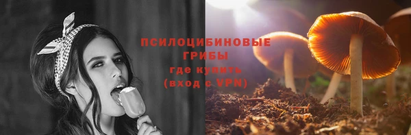 спиды Арсеньев