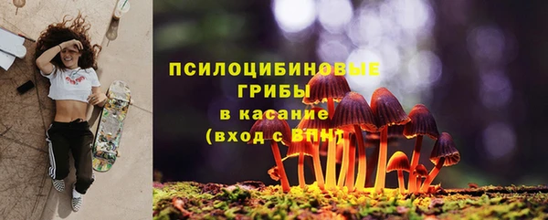 apvp Армянск