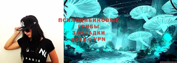 спиды Арсеньев